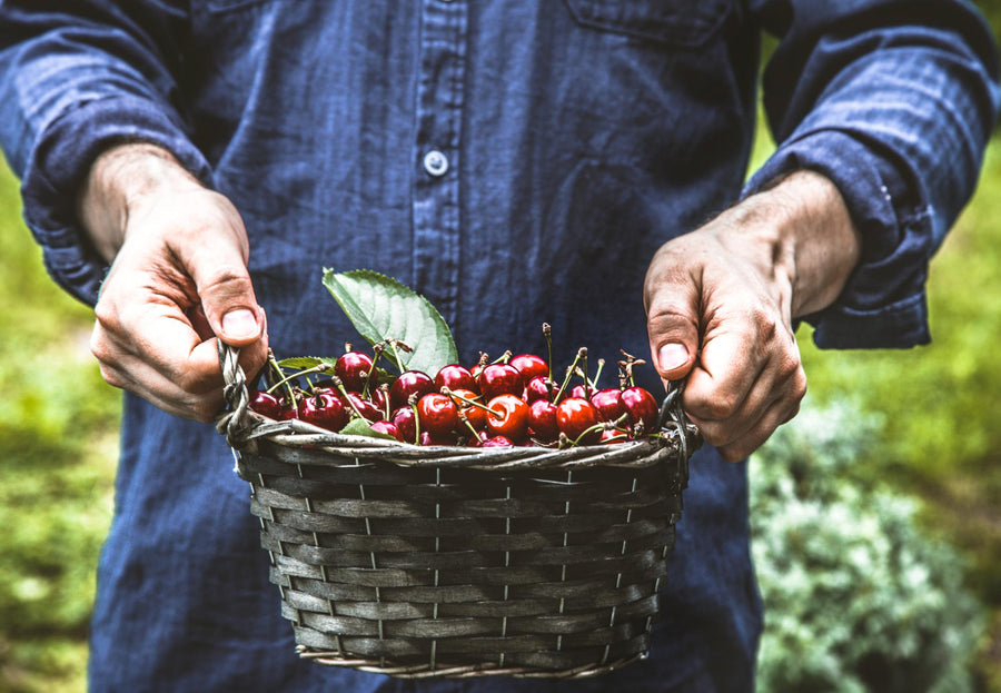 Cherry