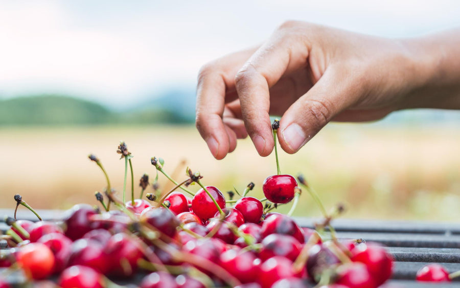 Cherries