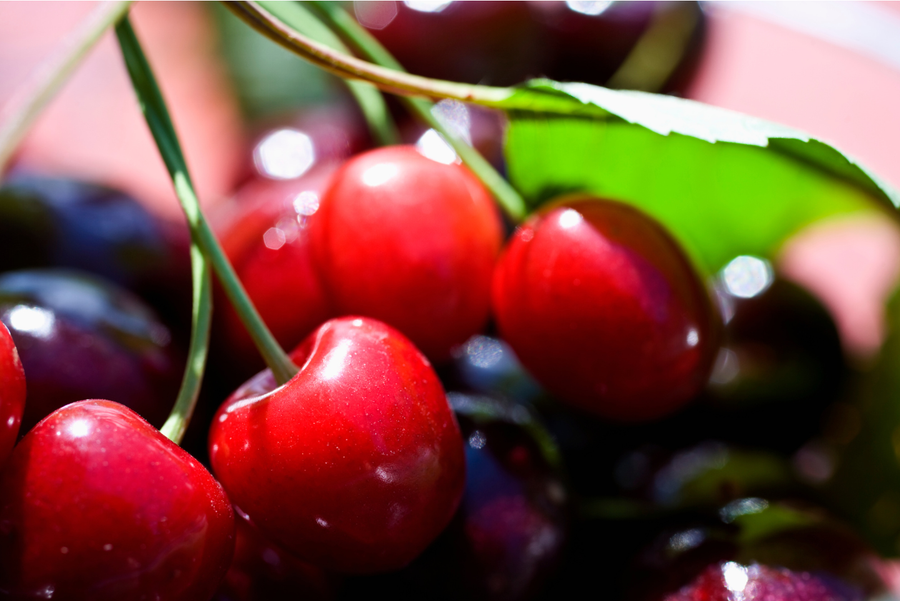 Why Choose Organic Cherries? The Benefits of Sustainable Fruit Growing