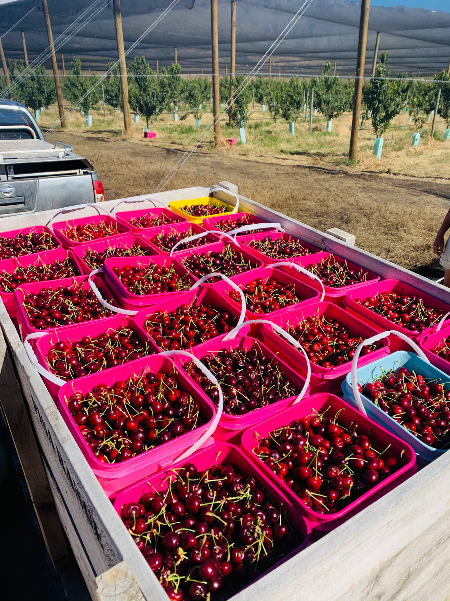 Box of Cherries