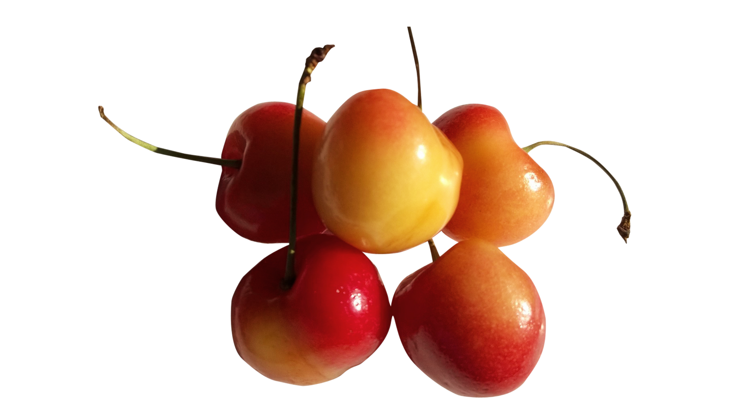 Pure Organic White Cherries